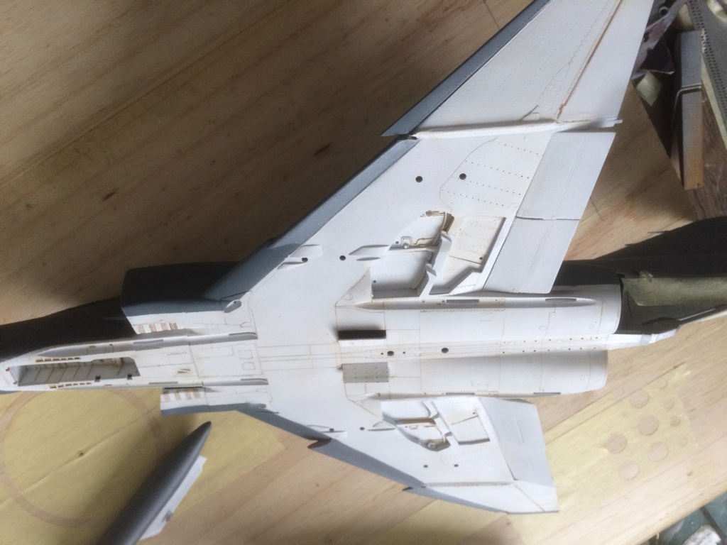 1/48 F4 K BRITISH PHANTOM Revell FINI - Page 3 Img_9215