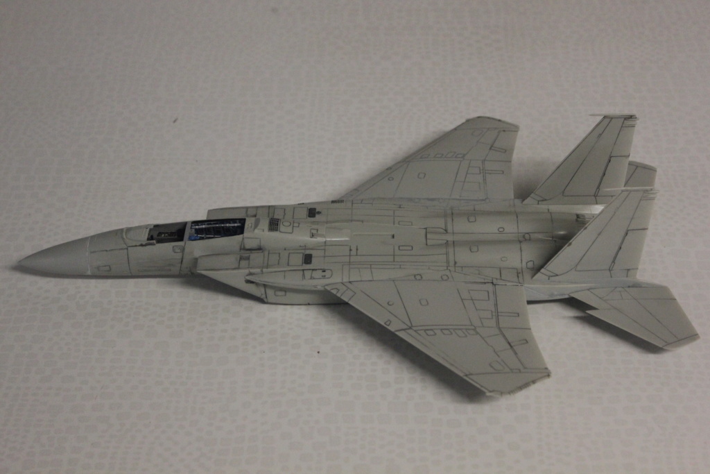 * 1/48  F 15 Eagle     Tamiya   - Page 2 Img_9424