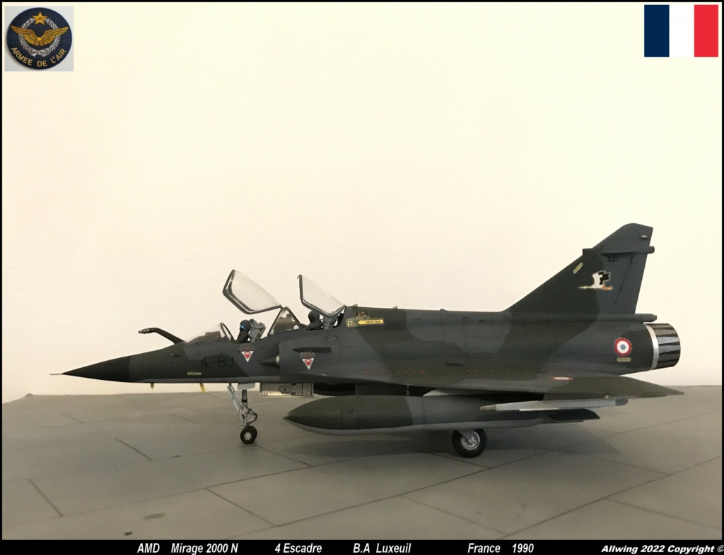 1/48   Mirage 2000 N    Heller    - Page 4 M2000n11