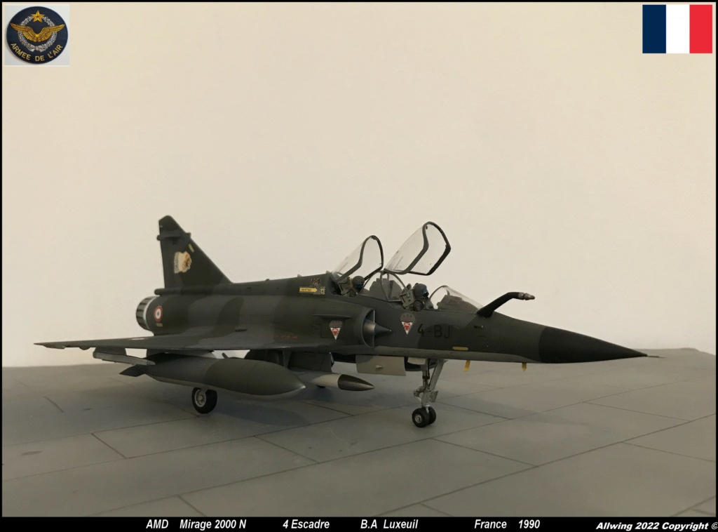 1/48   Mirage 2000 N    Heller    - Page 4 M2000n12