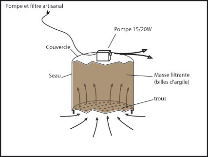 Pompe/filtre pour bassin 3m3 pour axolotls ambystoma mexican Pompe-10
