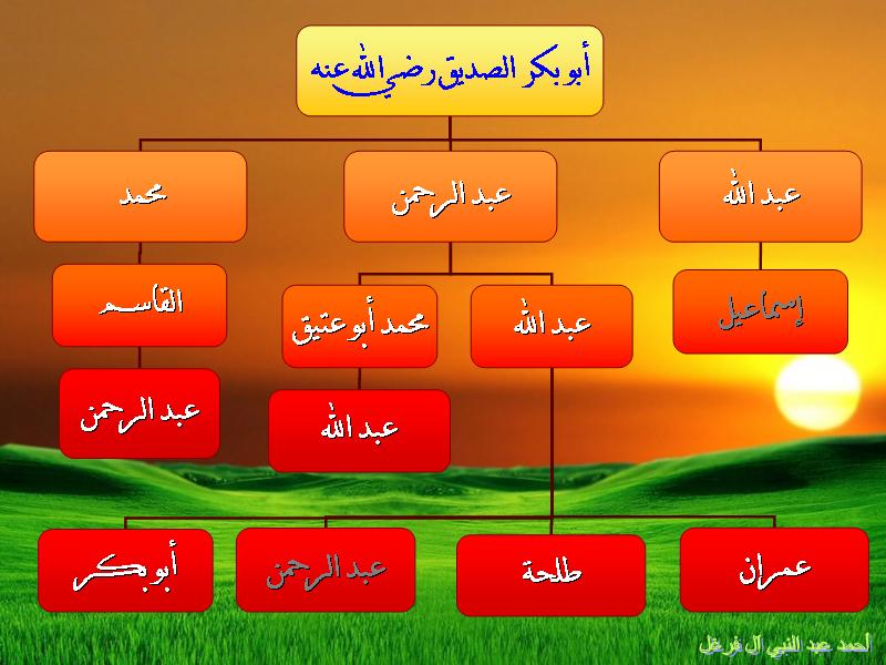 ابوبكر الصديق - صفحة 2 113