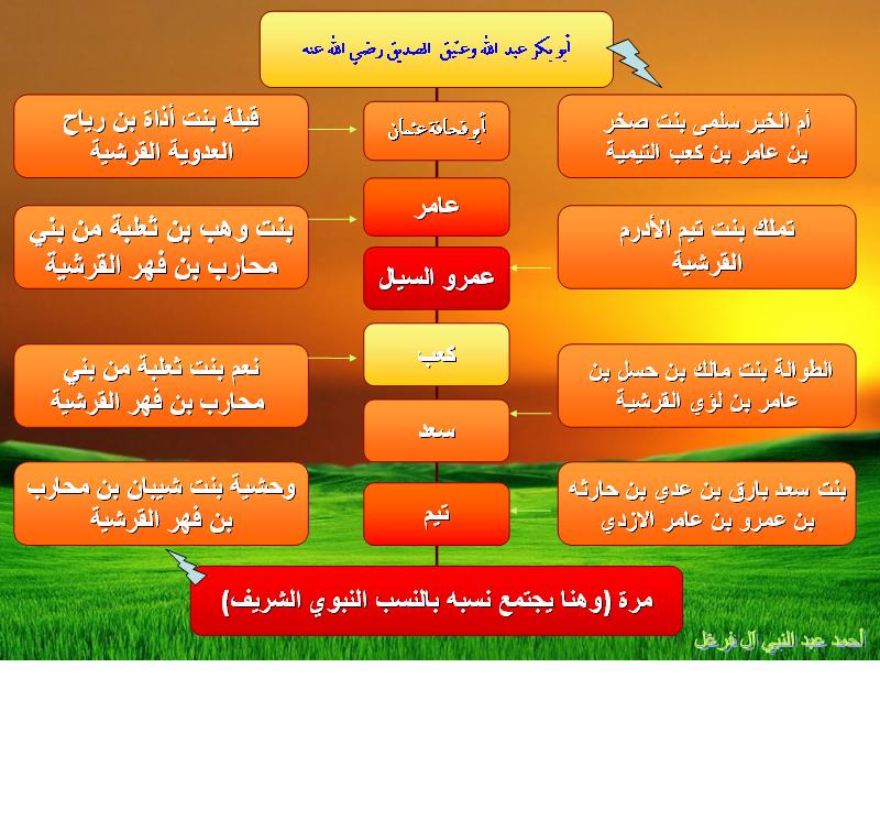 ابوبكر الصديق - صفحة 2 1210