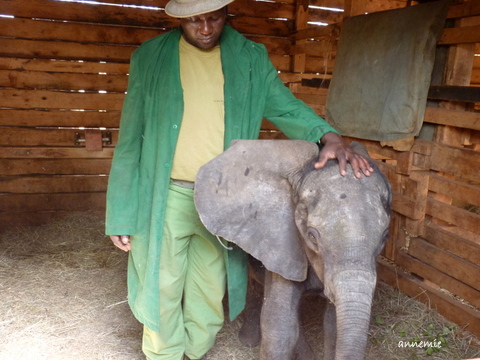 Kenya Daphne Sheldrick's Elephant Orphanage P1010811