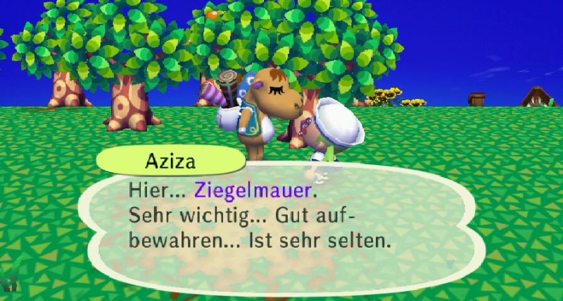 Ich habe von Aziza einen/eine ... erhalten. Ziegel11