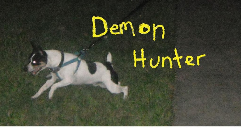 Our Pets!!! Demon_12