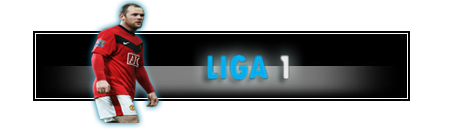 Liga 1 *FS*