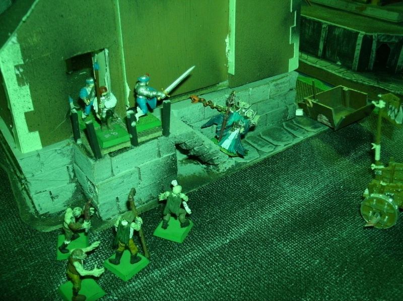 Adventures in Mordheim for 2010 - Page 2 C02010