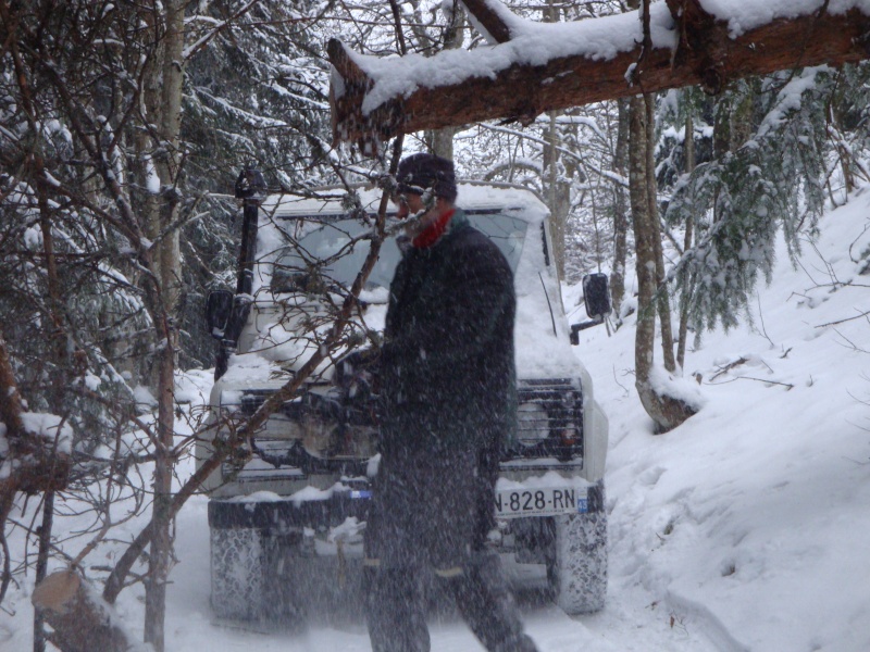 Holder forestier Mp_nav37