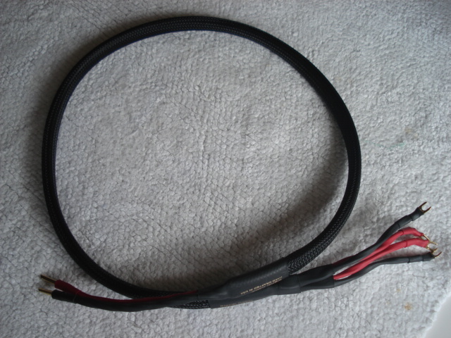 Centre Speaker Cables: Signal Cable, Chord Carnival Silverscreen, Kimber Kabel 8VS, Transparent Audio Signal10