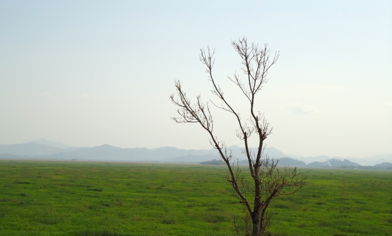 Le blogue de Manipur :) Dsc00011