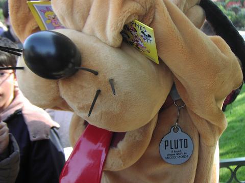 Venir avec nos animaux de compagnie sur le Resort Pluto10