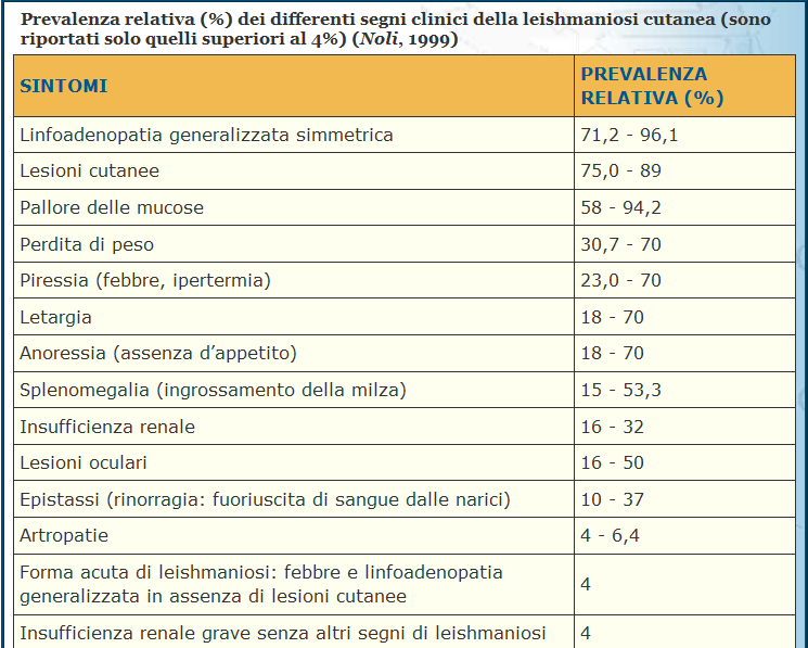 Leishmaniosi canina Cattur13