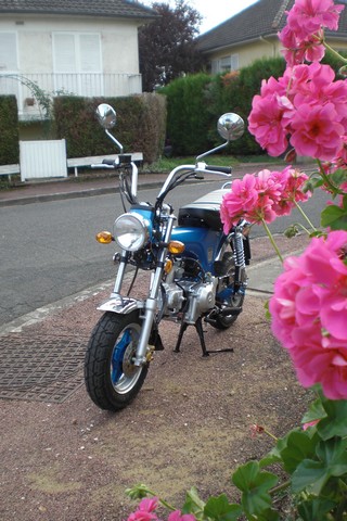 Mon Skyteam Dax 50cc Cimg3913