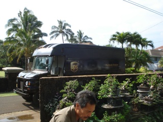 santa came in a UPS truck.  A REAL hawaiian christmas tale Dsc07621