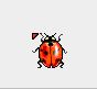 BUG ID has this been a good bug or a bad bad bug? Boffer10