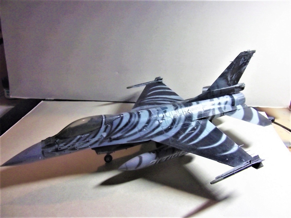 Le F-16 sous toutes ses formes Dscf6216