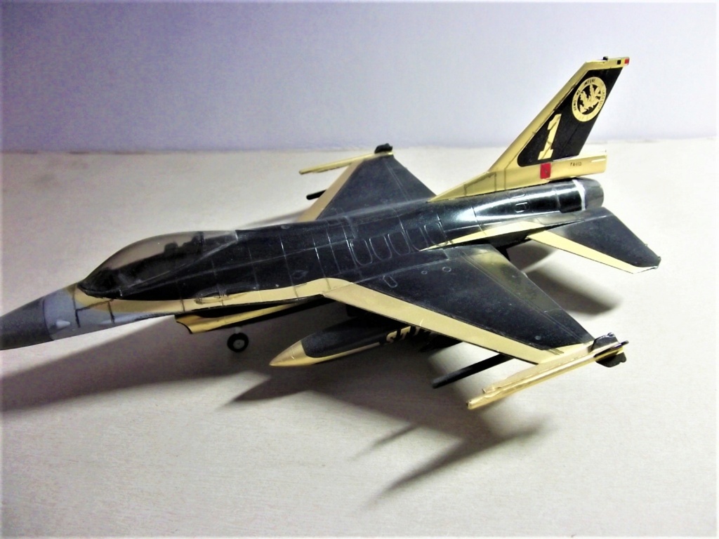 Le F-16 sous toutes ses formes Dscf6318