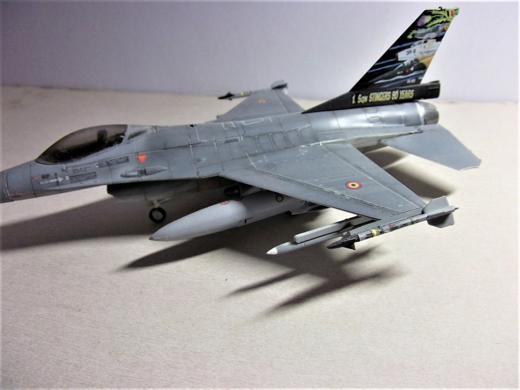 Le F-16 sous toutes ses formes Dscf6319
