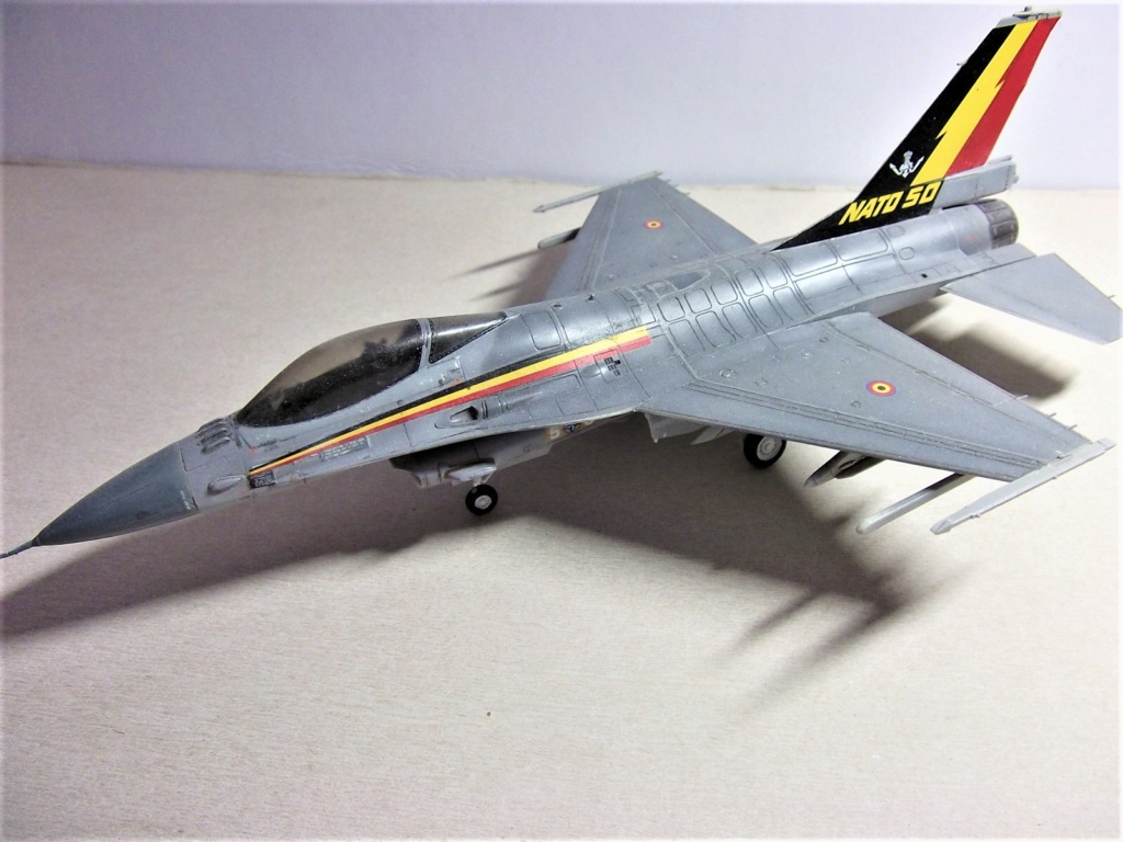 Le F-16 sous toutes ses formes Dscf6321