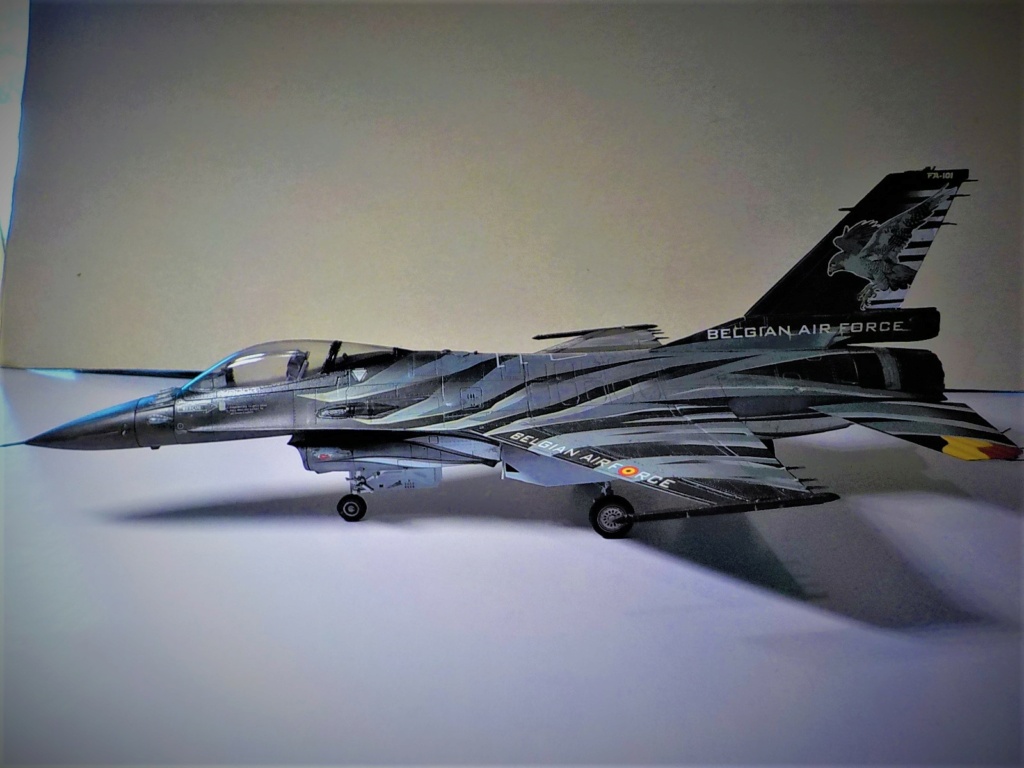Le F-16 sous toutes ses formes Dscn0712