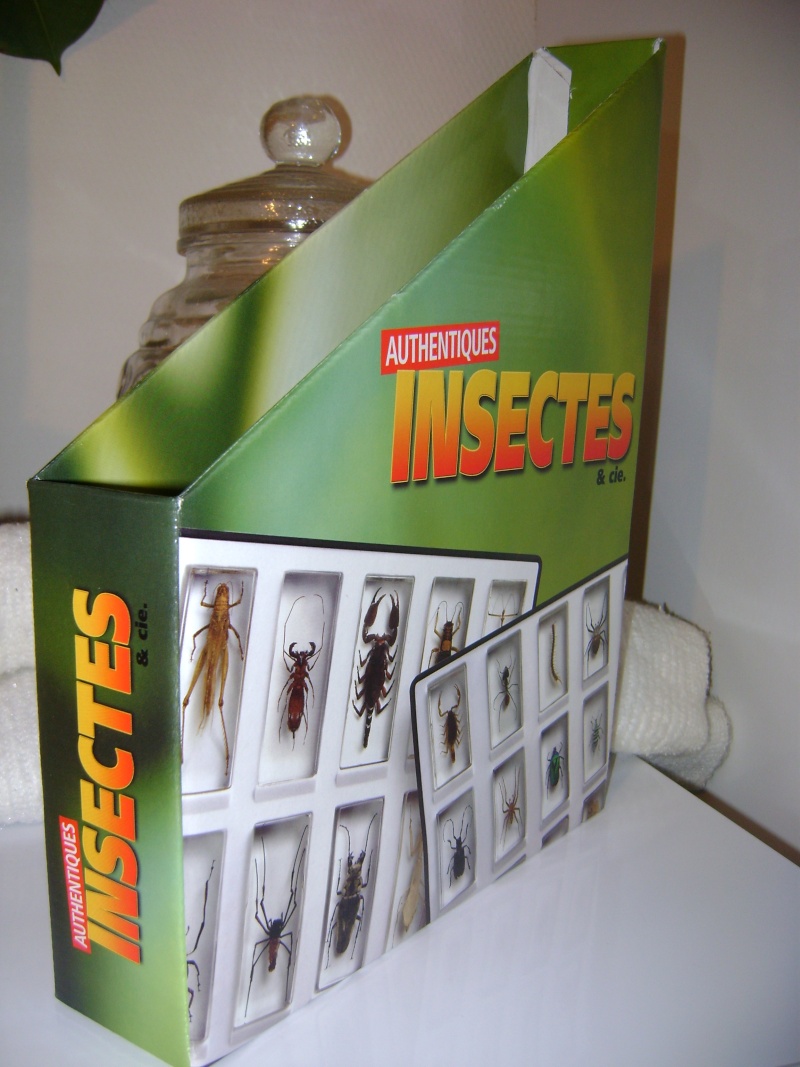 Nous faisons la collection des insectes géants et vous ? - Page 8 Dsc00015