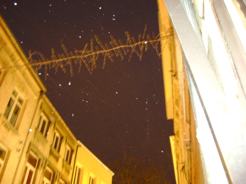 De la neige pour les prochains jours et durant cet hiver. - Page 2 Dsc00057