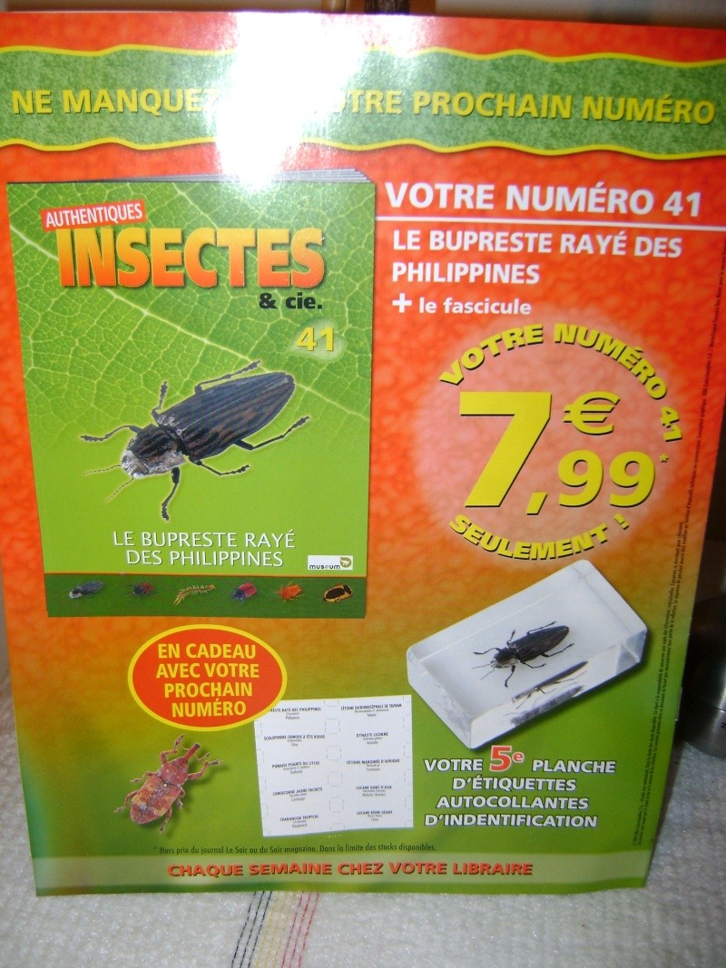 Nous faisons la collection des insectes géants et vous ? - Page 9 Dsc00615