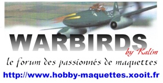 [AIRFIX] MESSERSCHMITT-Bf 109F-2 tropical 1/48 - Page 2 Carte_18