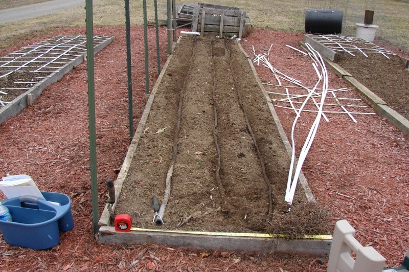 Large Scale Square Foot Gardening Dsc03510