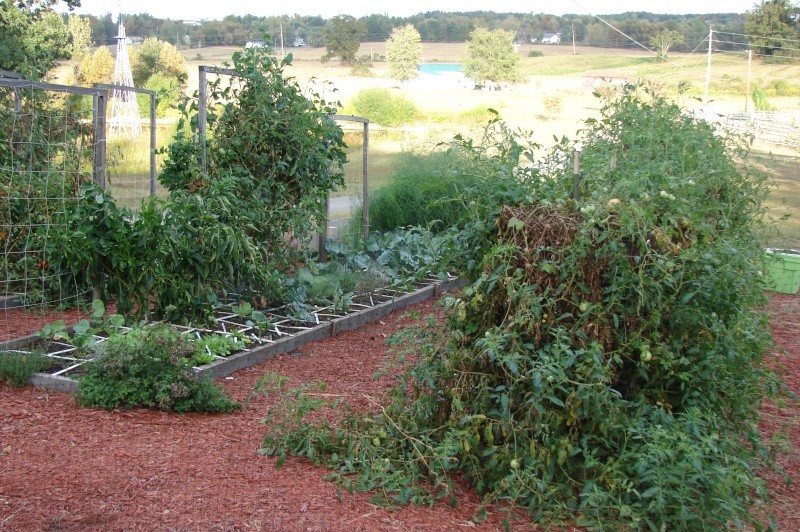 Upper South Fall Garden update Fall10