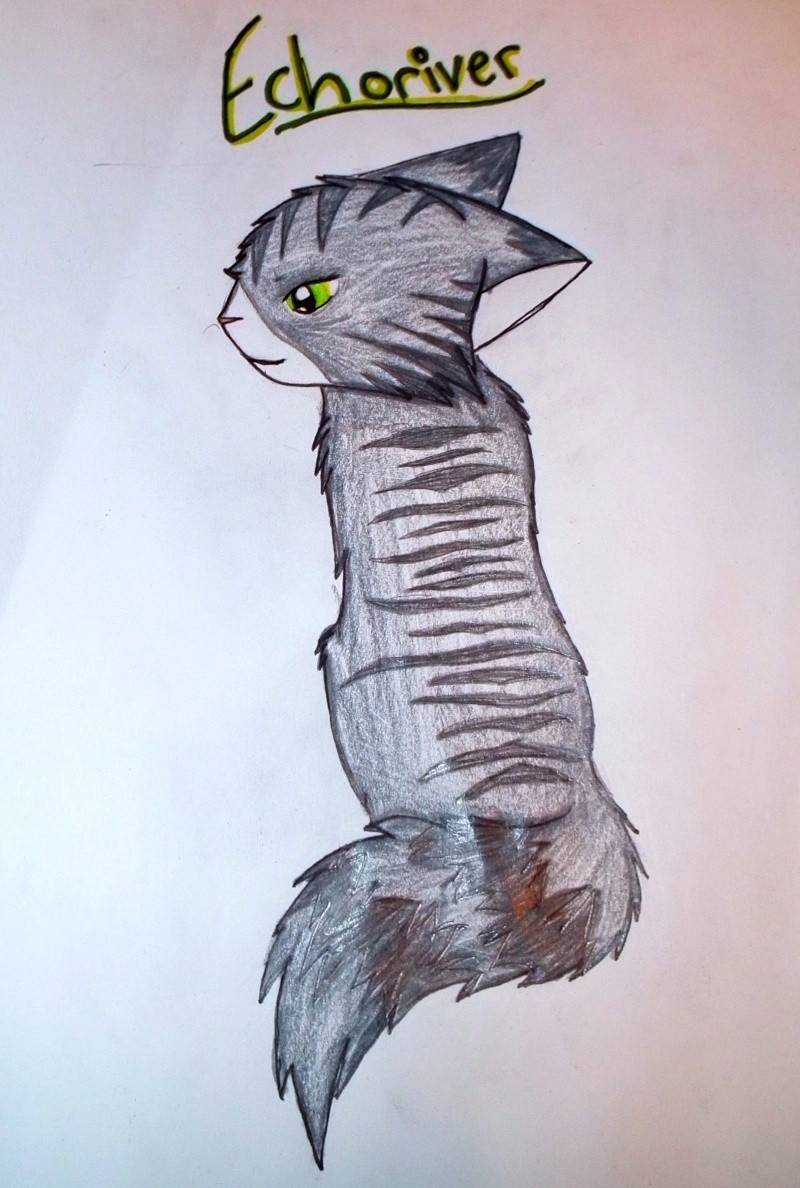 I'll draw your cat... on paper! Dscf2213