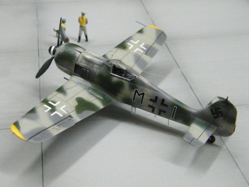 FOCKE WULF FW190 F-8 Dscf1026