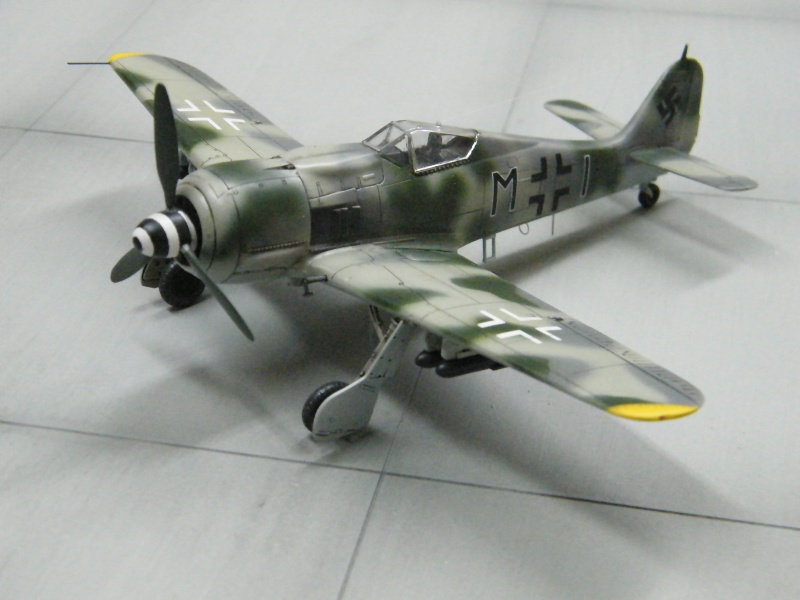 FOCKE WULF FW190 F-8 Dscf1027