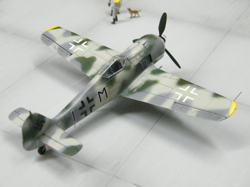 FOCKE WULF FW190 F-8 Dscf1028