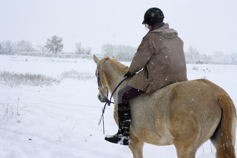 V'ger et la neige du 1er decembre ! ♥♥ 0img_526