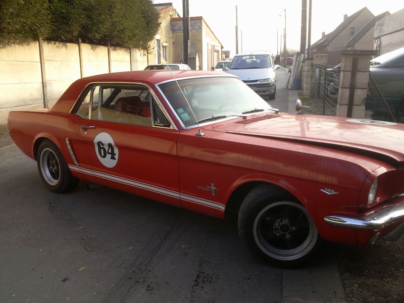 Mustang, une nouvelle venue  Photo014