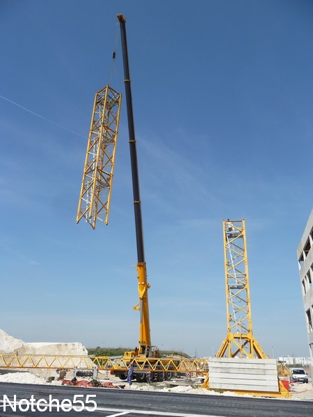 Les grues de GUILLOUART (France) 07041122