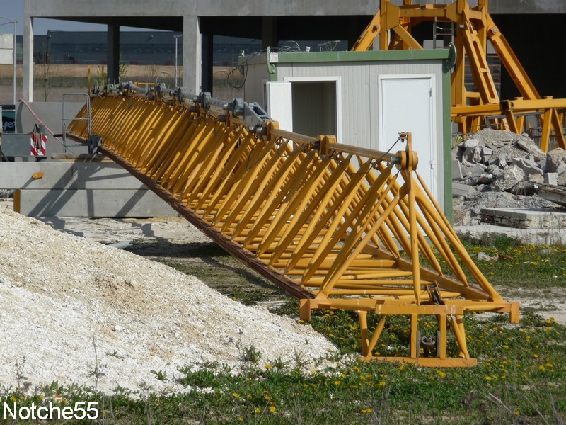 Les grues de GUILLOUART (France) 07041130