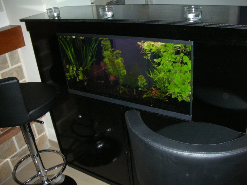 mon bar aquarium Aquari12