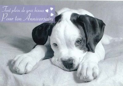 Joyeux Anniversaire Eric Joyeux Anniversaire Eric