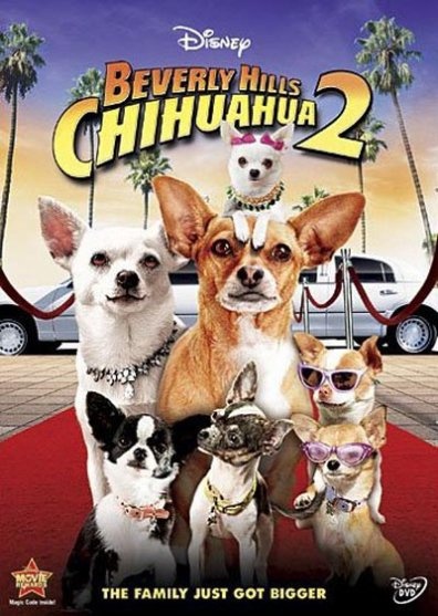 [Film] Le chihuahua de Beverly Hills 2! Beverl10