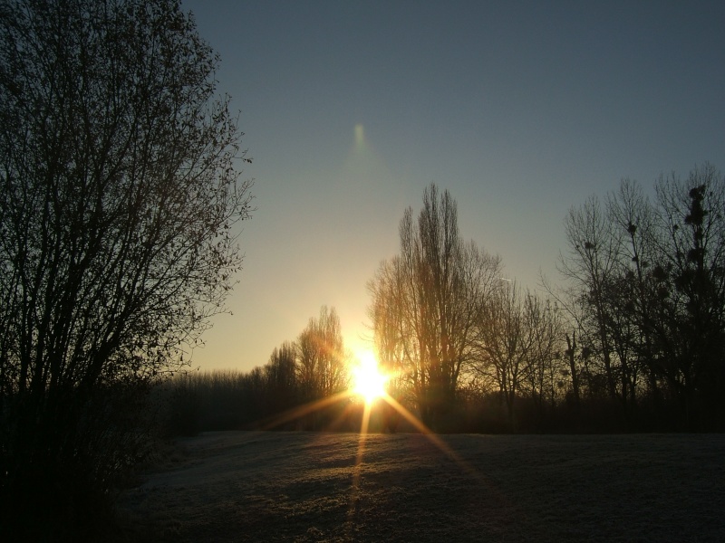 Soleil de ce matin Dscf8911