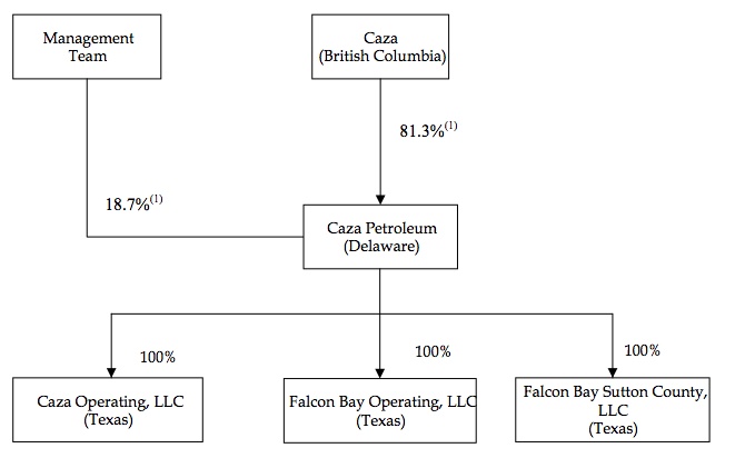 Total shares, options and warrants Caza_s12