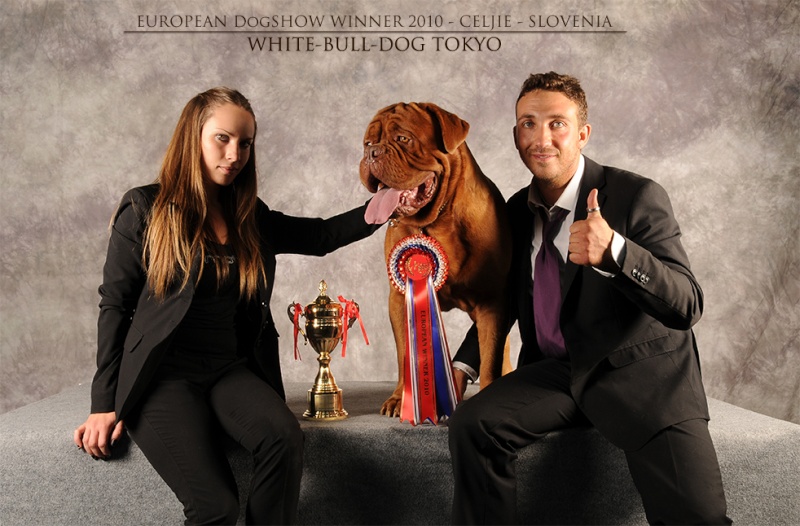 Whithe-Bull-Dog Tokyo  ( campione d'europa) Eds_ok11