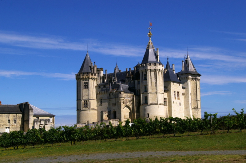 Saumur, sa région, son chateau ... ses vins Imgp6222