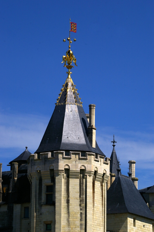 Saumur, sa région, son chateau ... ses vins Imgp6225