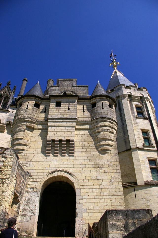 Saumur, sa région, son chateau ... ses vins Imgp6226