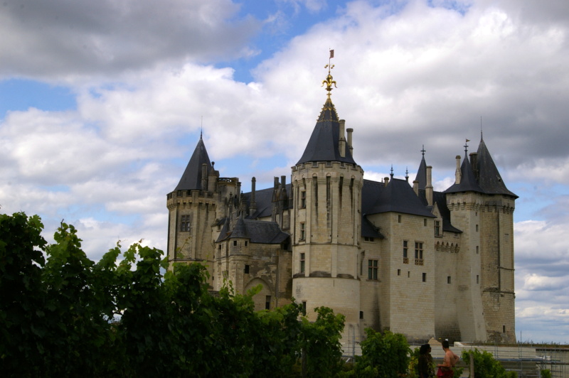 Saumur, sa région, son chateau ... ses vins Imgp6233