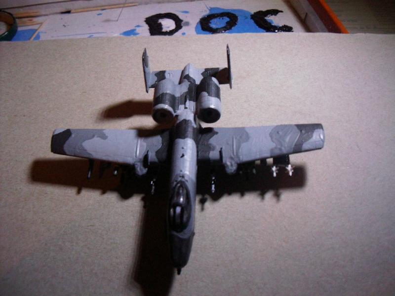 A-10 thunderbolt - Page 3 Imgp5512